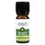 APOfit – Angelikawurz 1ml - 1 Milliliter