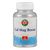 Supplementa Calcium und Magnesium + Bor Tabletten - 100 Stück